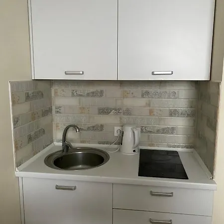 Apartment Smarthouse In Kyiv